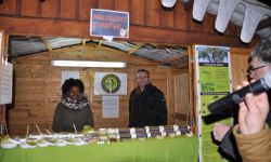 Marche De Noel   012